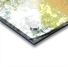 Summers Delight in the Scottish Highlands                                                                                                                      Acrylic print