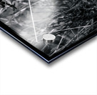 Cloaking Killdeer Acrylic print