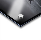 Foggy Morning Ruddy Acrylic print