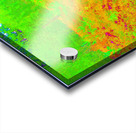  Surreal Nature Path through the Scottish Highlands                                                                                                                     Acrylic print