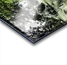  Natures Summer Path through the Scottish Highlands                                                                                                                     Acrylic print