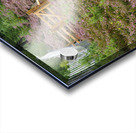  The Heather Honey Trail through the Scottish Highlands                                                                                                                     Acrylic print