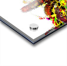 Abstract Summer Buddleia                                                                                                                       Acrylic print