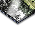 Summer Path in the Scottish Highlands                                                                                                                      Acrylic print