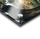 Old Sheldon Church Panorama Acrylic print