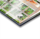  The Garden Swing Chair                                                                                                                     Acrylic print