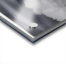 History Displayed Acrylic print