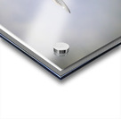 Sky Superiority 2 Acrylic print