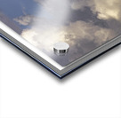 The First Acrylic print