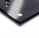 War Bird 1 Acrylic print