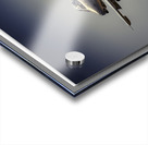 Missing Maj Mad... Acrylic print