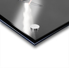 War Bird 2 Acrylic print