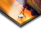 Serene Sunset over Rolling Fields Acrylic print