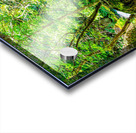 Pathway To Big Spring Acrylic print