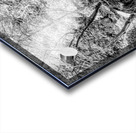 Pathway To Big Spring Grayscale Acrylic print