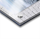 jpt 443 A Acrylic print