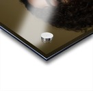 Classie Acrylic print