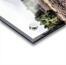 Scottish Highlands Birch Tree Landscape                                                                                                                      Acrylic print