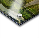 Summer on Westborough Road Acrylic print