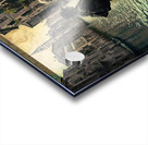 TIL WE MEET AGAIN.....SELECTIVE COLORING Acrylic print