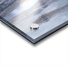 Cypress Tree Reflections Acrylic print