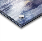 Ethereal Reflections of Winter Trees Acrylic print