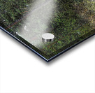  Walking the Forest Trails in the Scottish Highlands                                                                                                                     Acrylic print