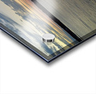 DJI 0095 Acrylic print