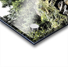 Summer Cycling in the Scottish Highlands                                                                                                                      Acrylic print