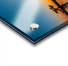 After sunset Lake Martin Breaux Bridge Louisiana Acrylic print