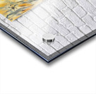 ArtXcl 052 fashion illustration Acrylic print