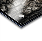 Drought after the Rain Acrylic print