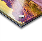 DESERT WIDERNESS Acrylic print