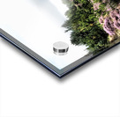   The Scottish Highlands Trail Before Us                                                                                                                    Acrylic print