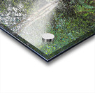 Scottish Hiker in a Birch Forest                                                                                                                      Acrylic print