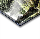  Scottish Highlands Path through the Woodland                                                                                                                     Acrylic print