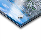 SOUTHERN WINTER  Acrylic print