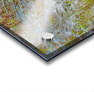 ICE SCULPTURES  Acrylic print