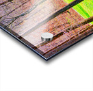 SPLASHING BROOK Acrylic print