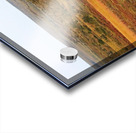 Pingo And Tundra Acrylic print