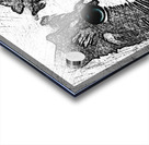 1001 Sketch Art RD mata biru Acrylic print