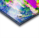 AMAZING ALASKA  Acrylic print