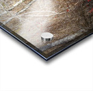 Serene Woodland Marsh Winter Berries Acrylic print