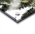  Scottish Highlands Serene Woodland Path                                                                                                                     Acrylic print