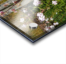 Wildflowers in the Scottish Highlands                                                                                                                      Acrylic print