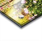 Vibrant  Wildflowers  by a Rustic Fence                                                                                             Acrylic print