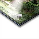 Scottish Highlands Path through the Birch Forest                                                                                                                      Acrylic print