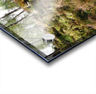  Scottish Highlands Tranquil Woodland Landscape                                                                                  Acrylic print