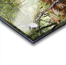  Scottish Highlands Forest Ferns and the Birch Trees                                                                                                             Acrylic print