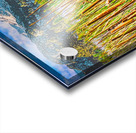 FIELD OF CATTAILS  Acrylic print